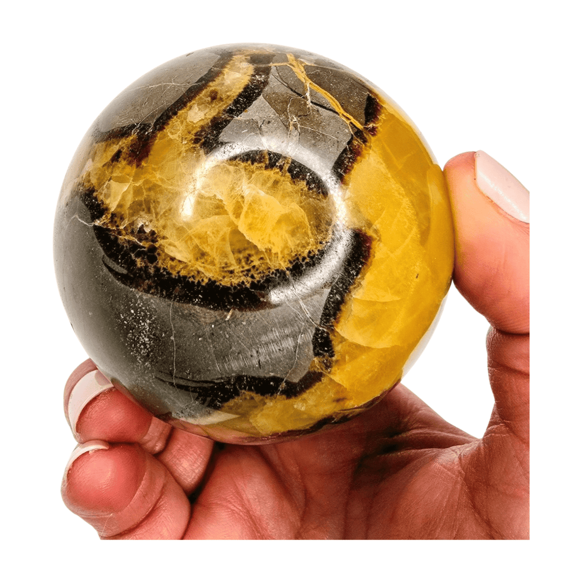 Septarian Sphere