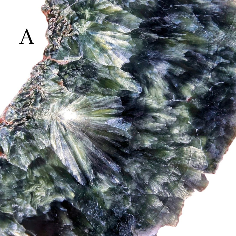 Seraphinite Slice