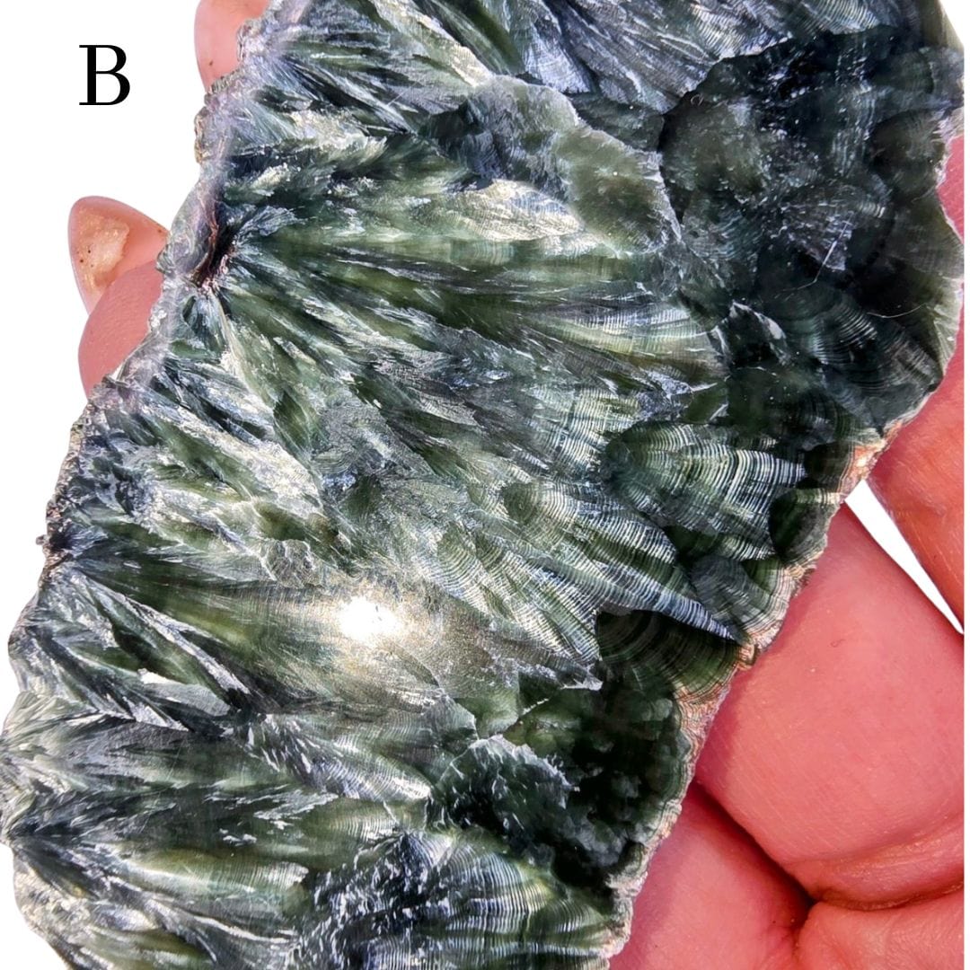 Seraphinite Slice