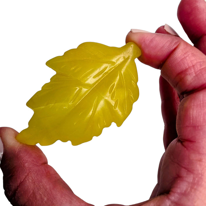 Serpentine Leaf
