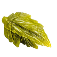 Serpentine Leaf