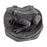 Shungite Frog on Lily Pad