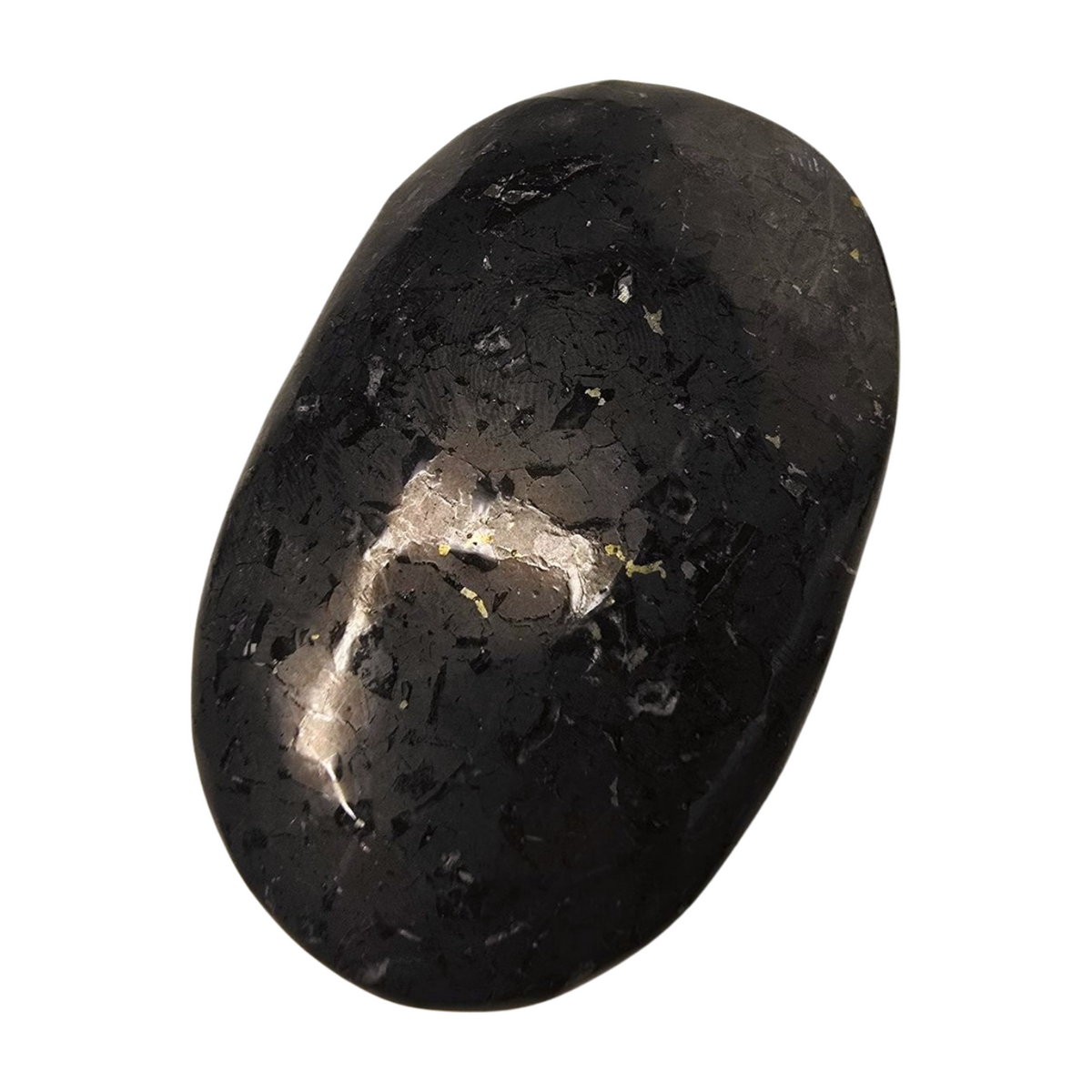 Shungite Palm Stone