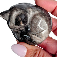 Silver Sheen Obsidian Cat
