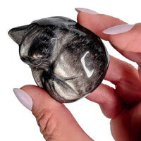 Silver Sheen Obsidian Cat