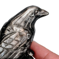 Silver Sheen Obsidian Raven with Yooperlite Branch