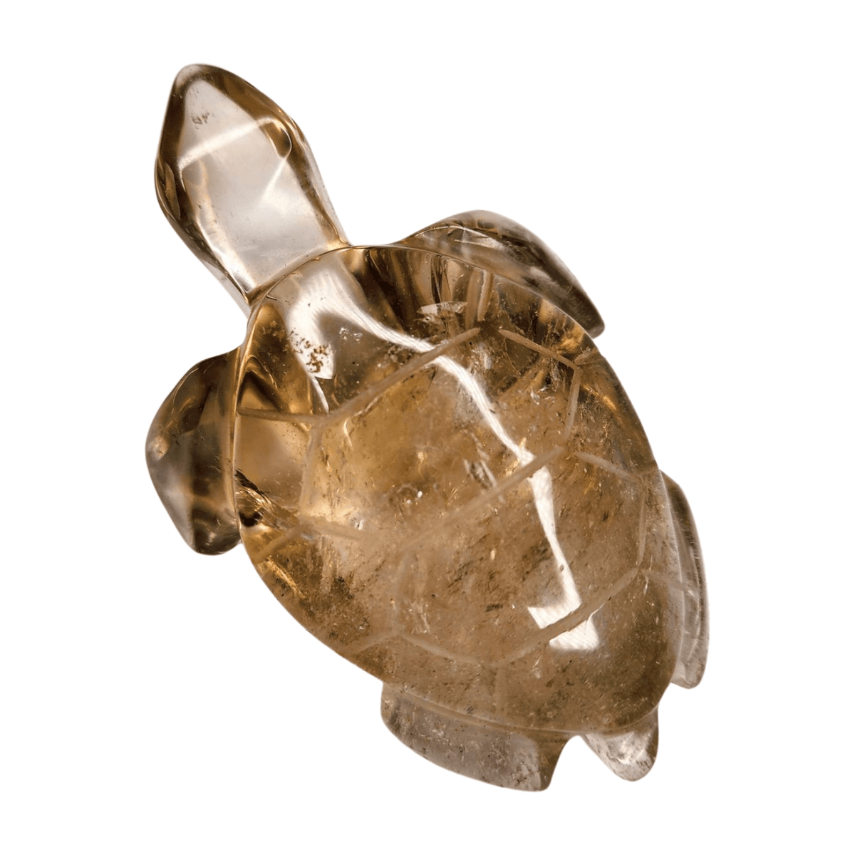 Smoky Quartz Turtle