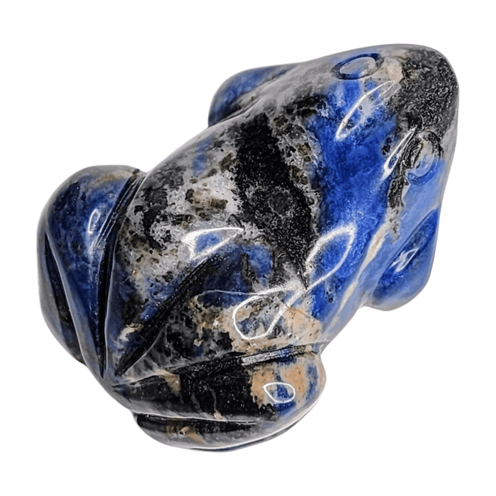 Sodalite Frog