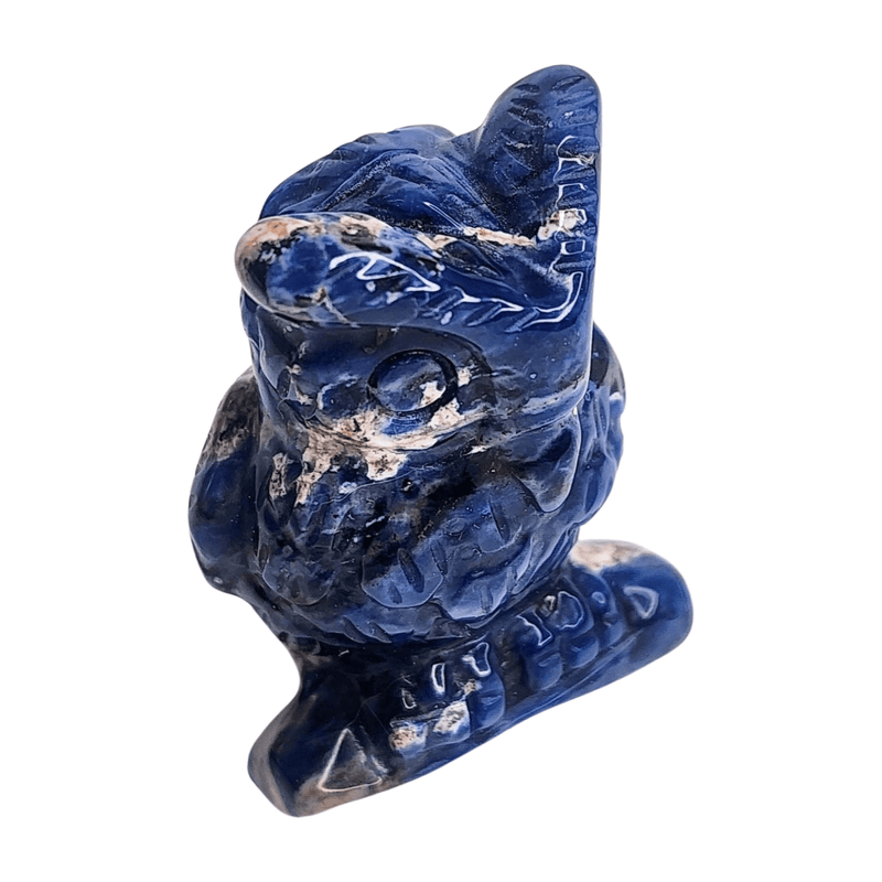 Sodalite Owl