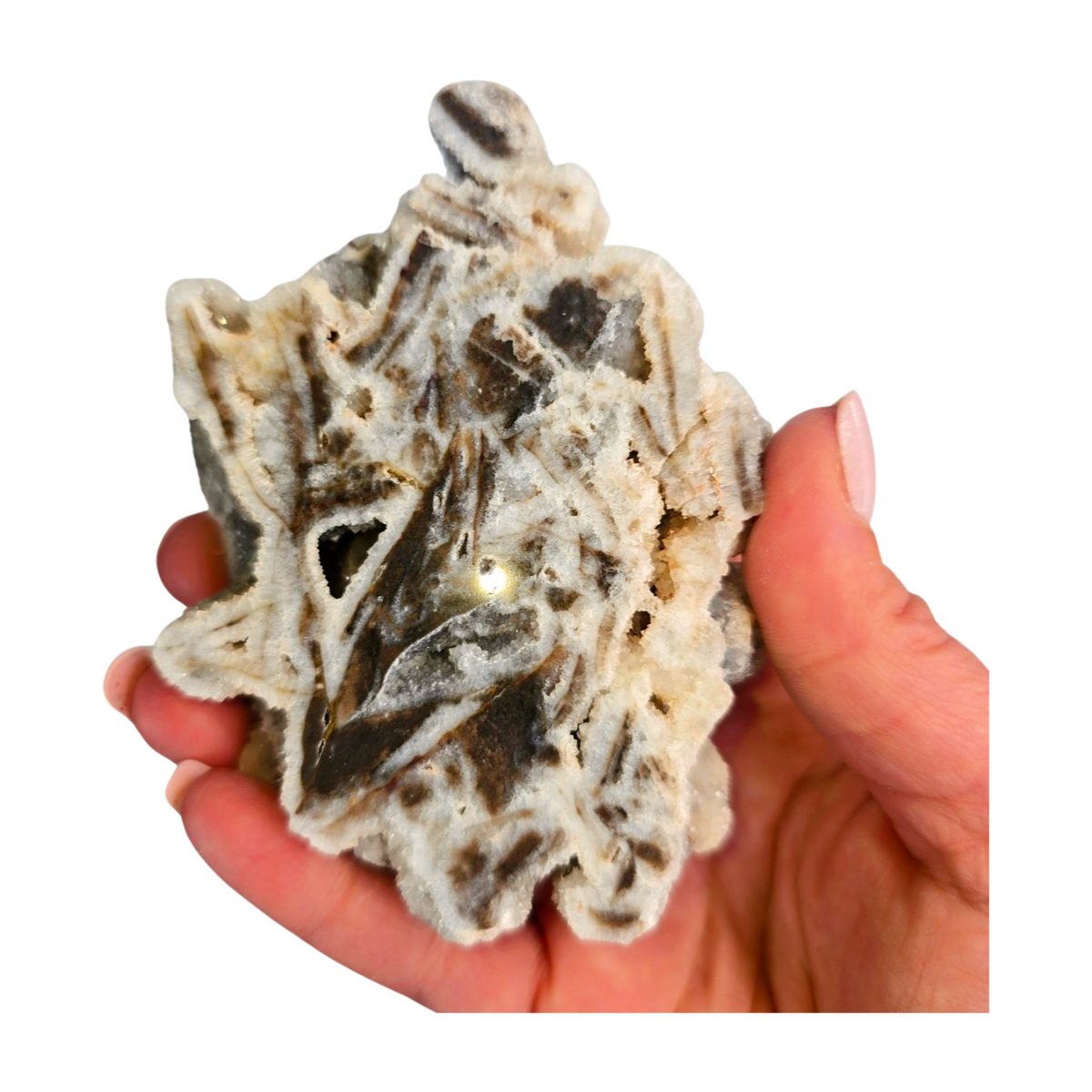 Sphalerite Polished Slice