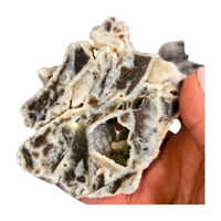 Sphalerite Polished Slice