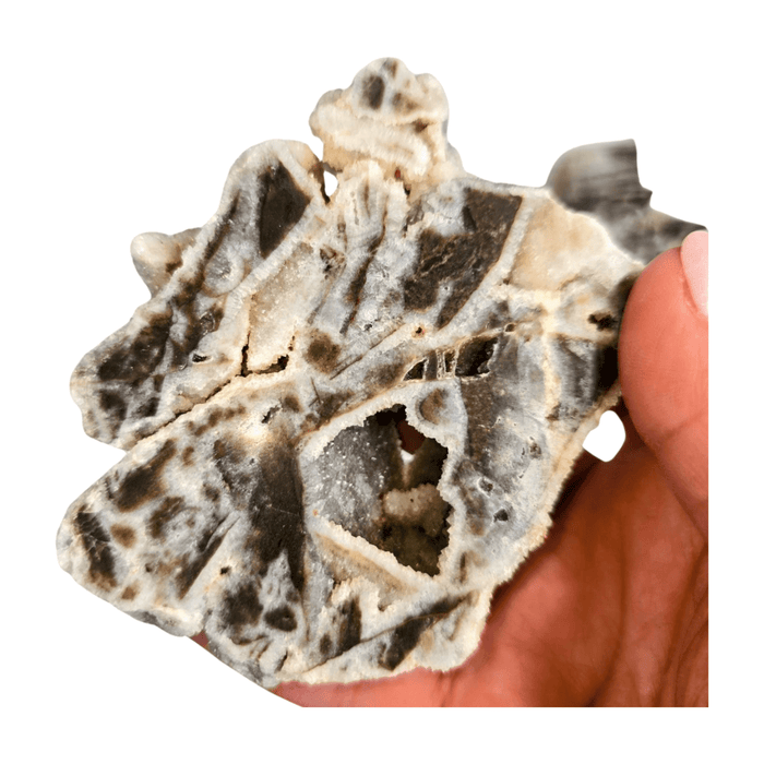 Sphalerite Polished Slice