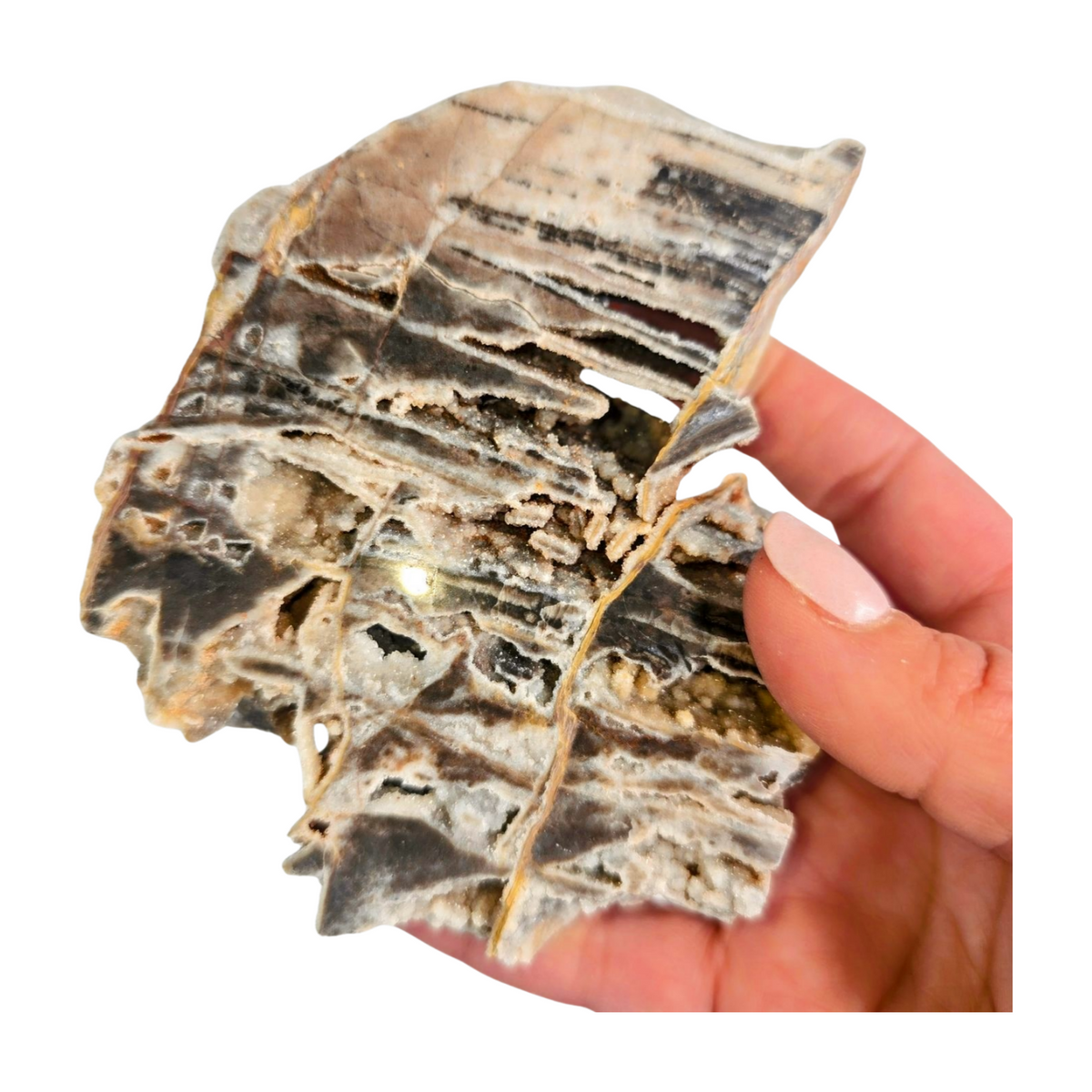 Sphalerite Polished Slice
