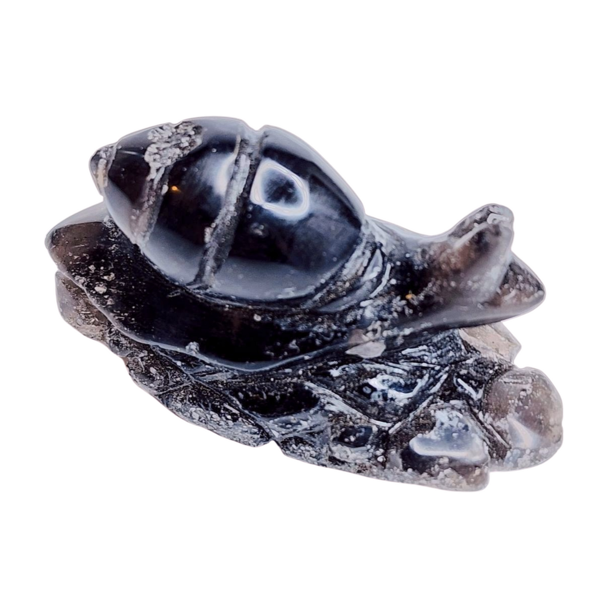 Pearl of Fire - Tektite Snail