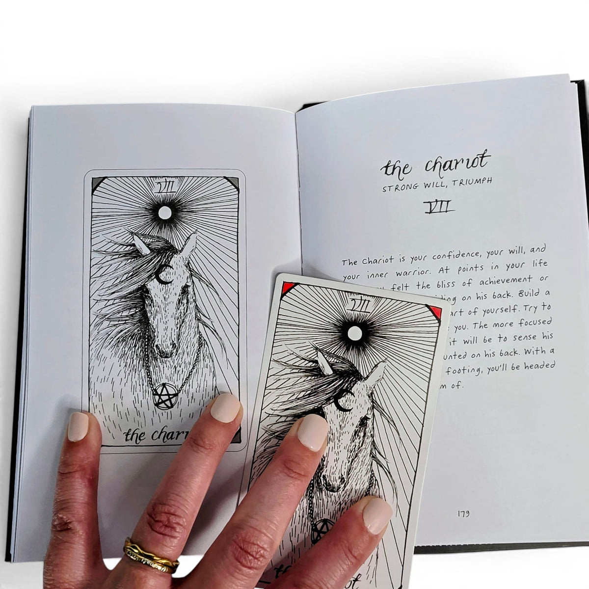 The Wild Unknown Tarot