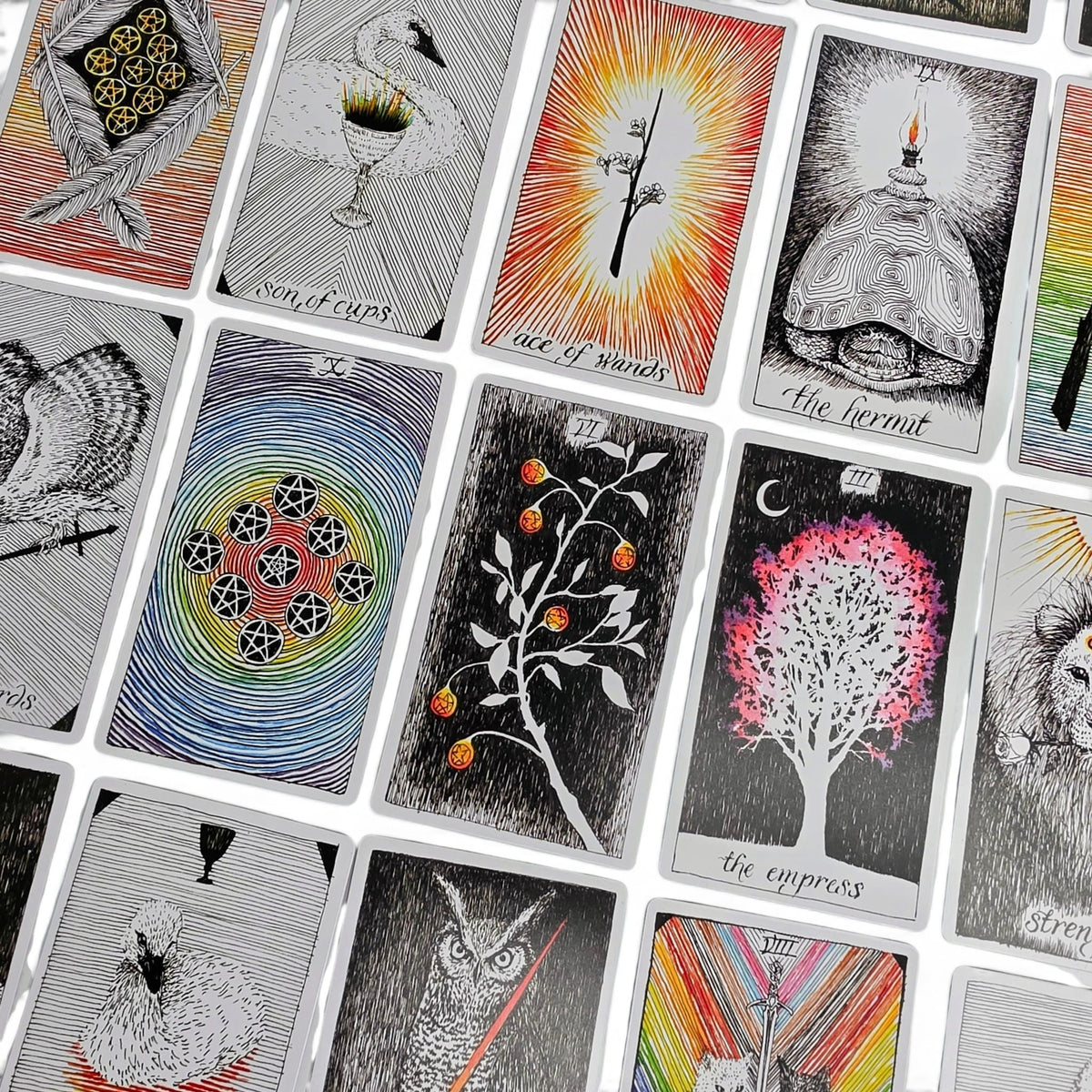 The Wild Unknown Tarot
