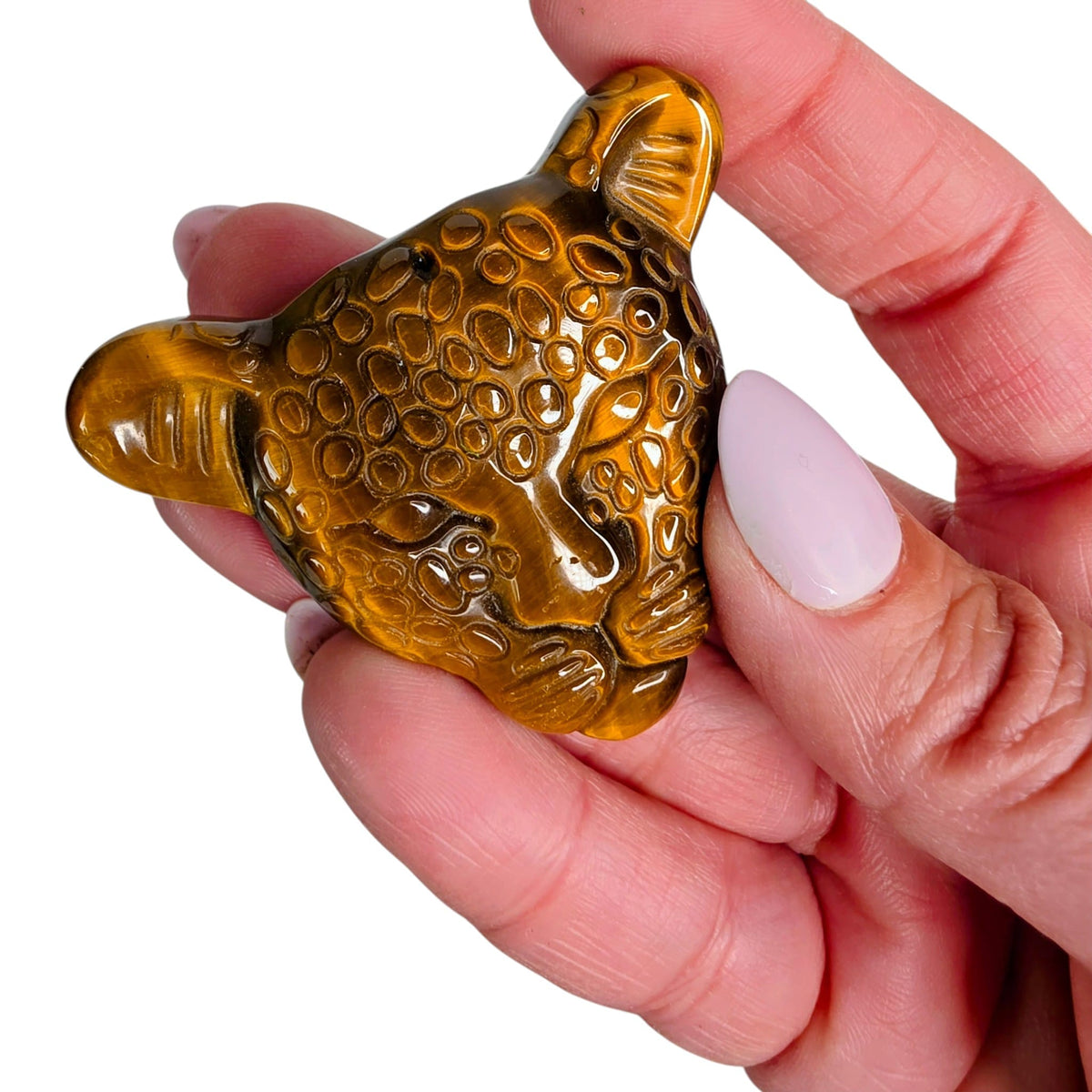 Tiger's Eye Jaguar