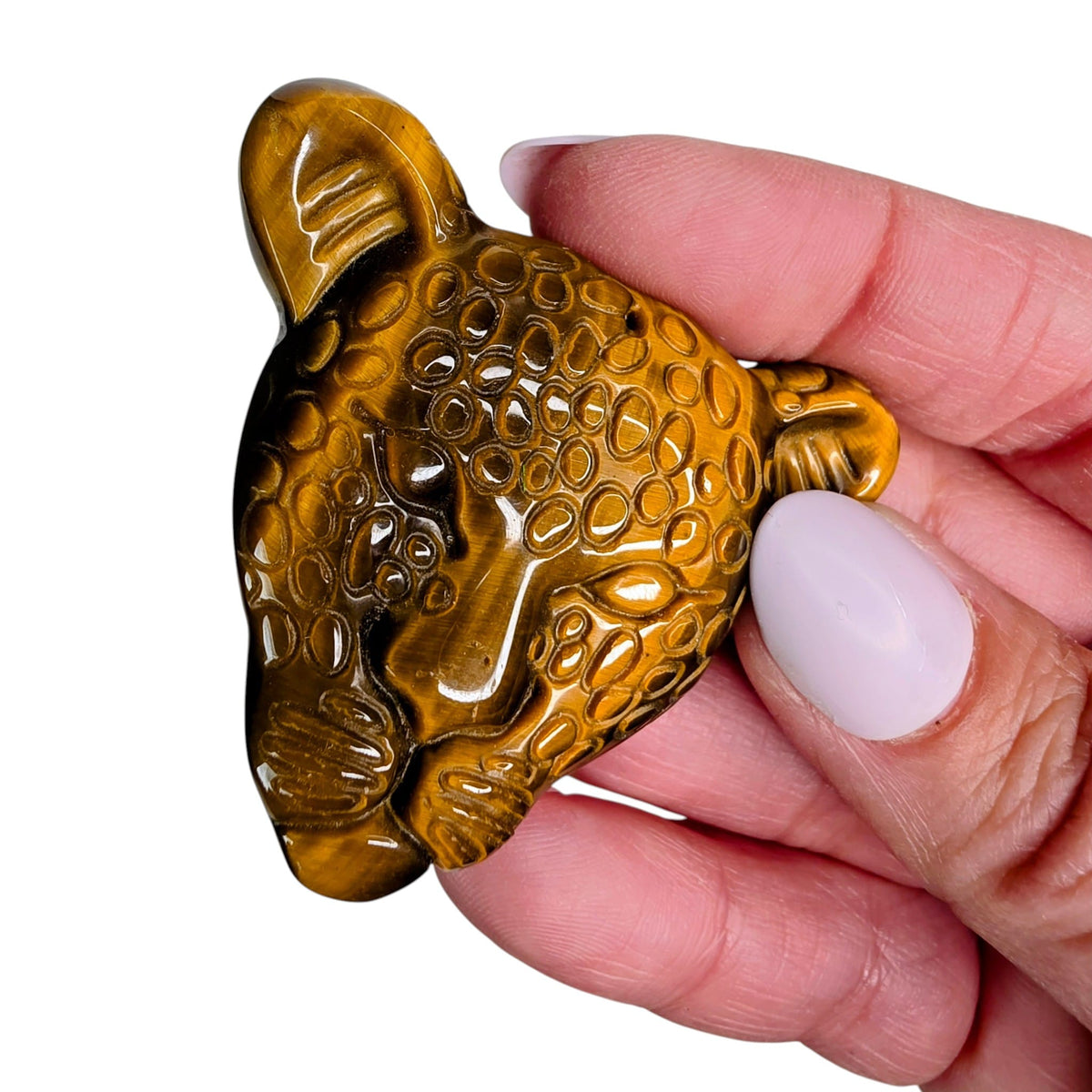 Tiger's Eye Jaguar