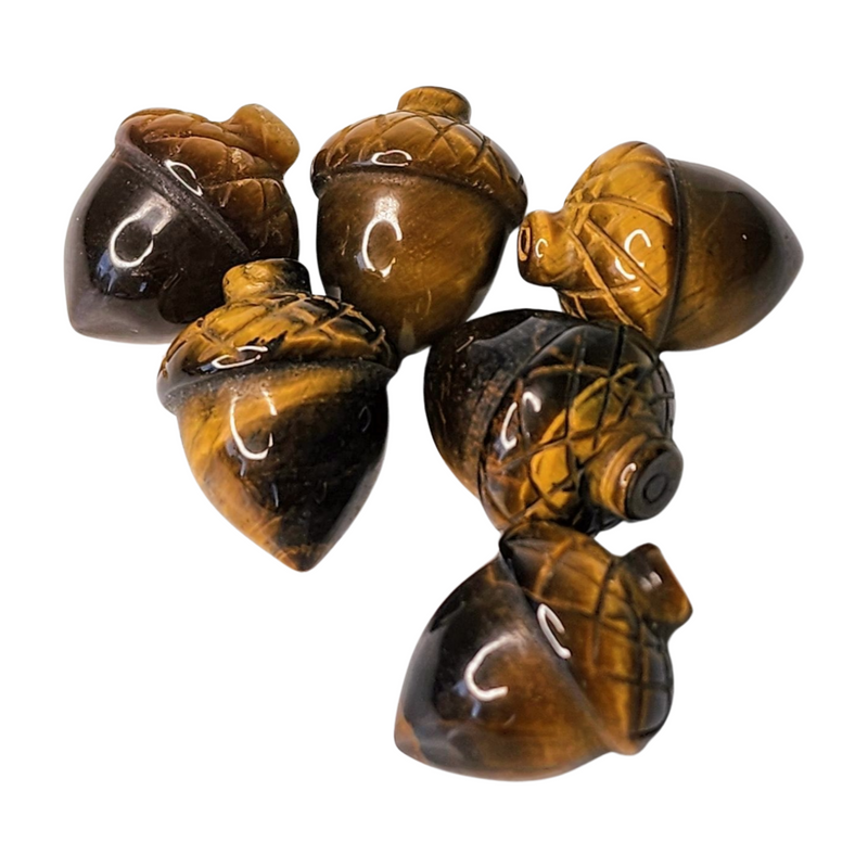 Tiger's Eye Acorn