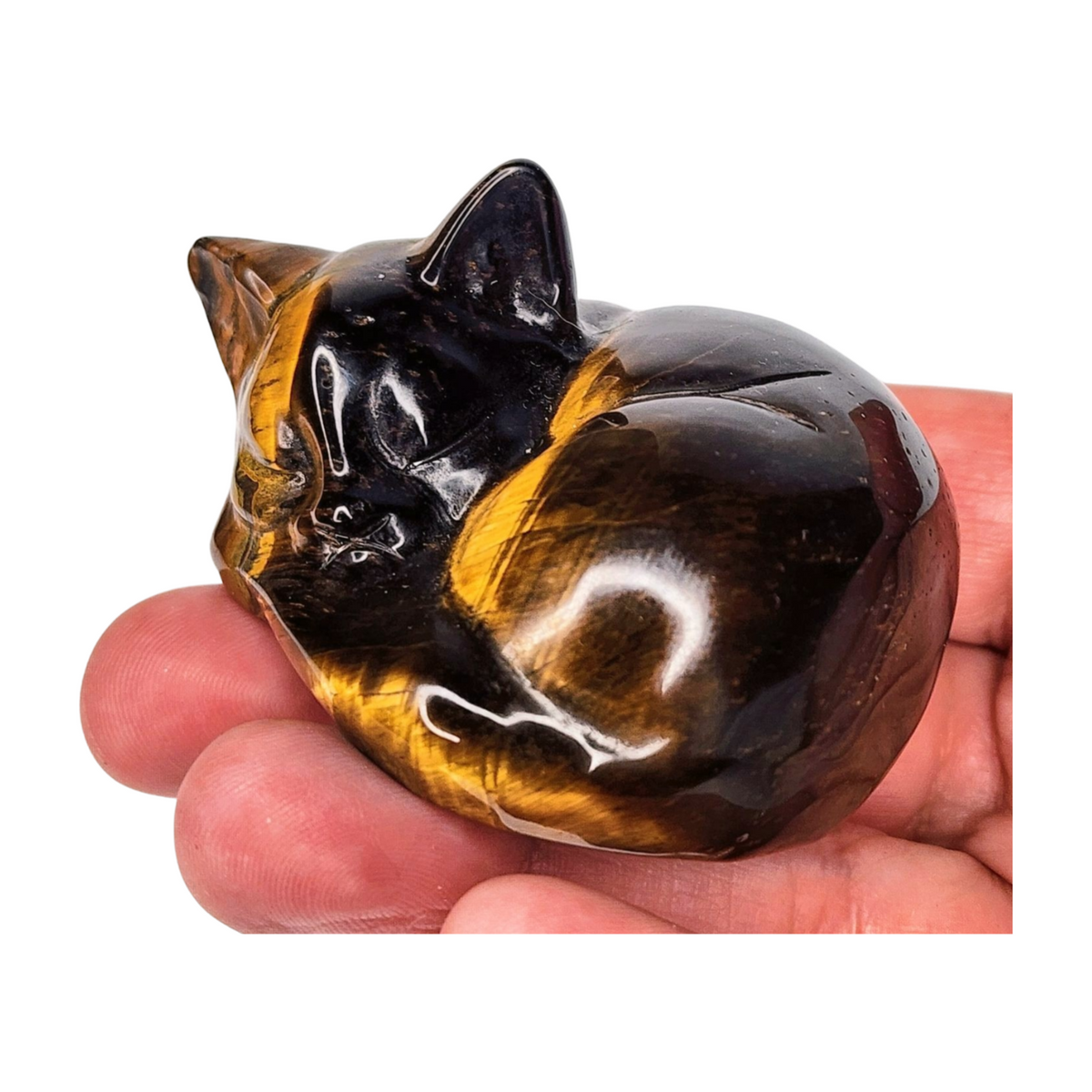 Tiger's Eye Cat