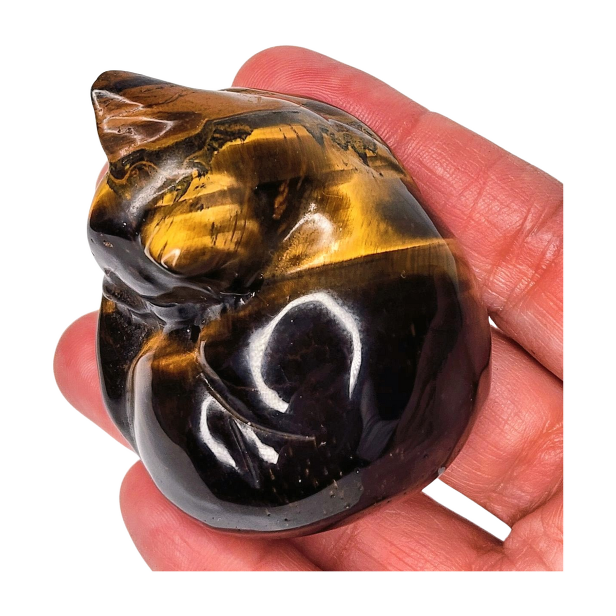 Tiger's Eye Cat