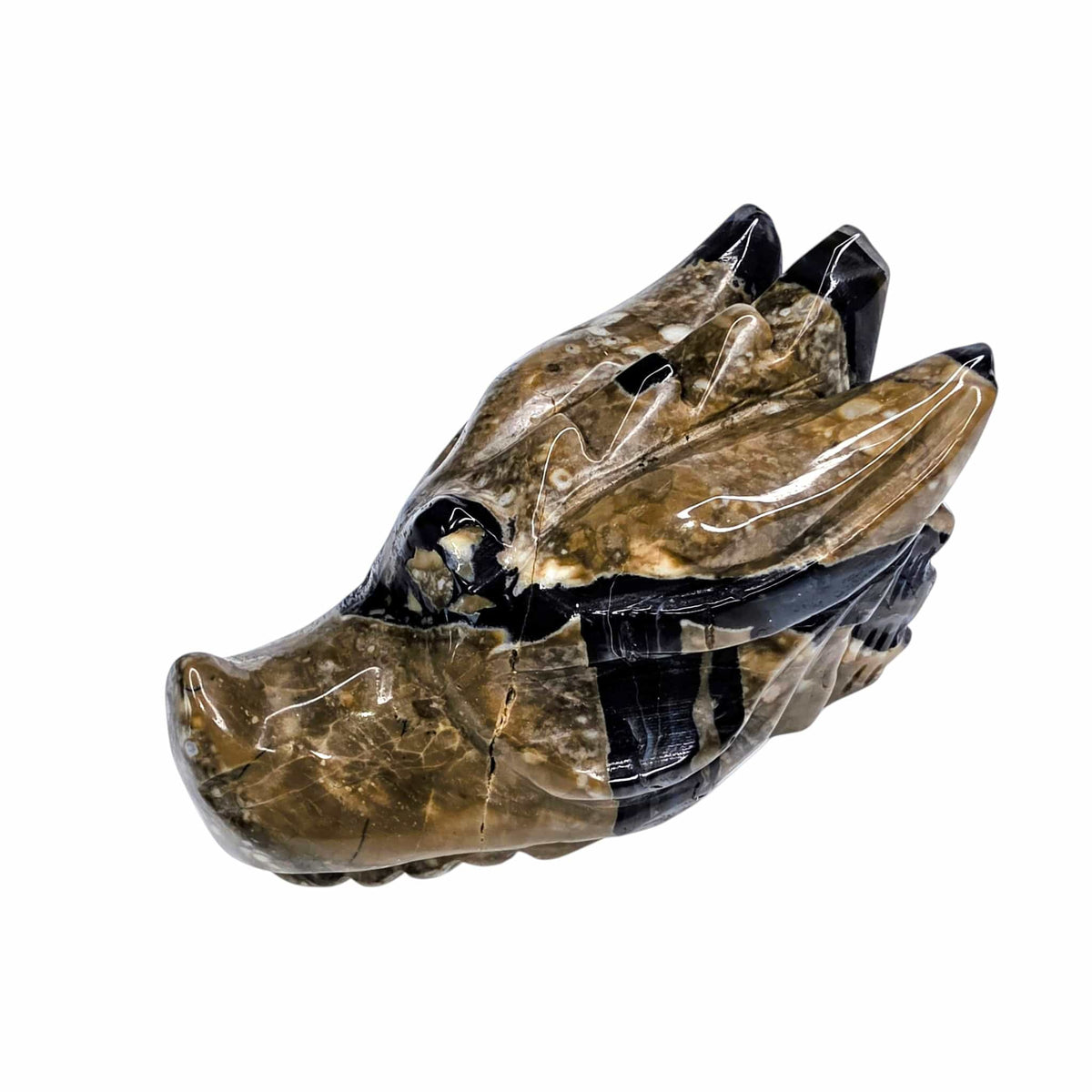 Volcano Agate Dragon