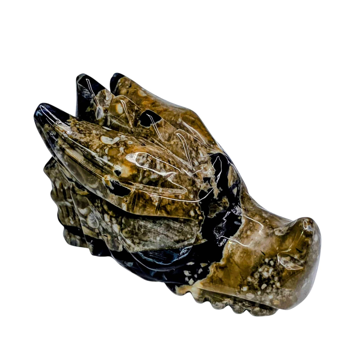 Volcano Agate Dragon