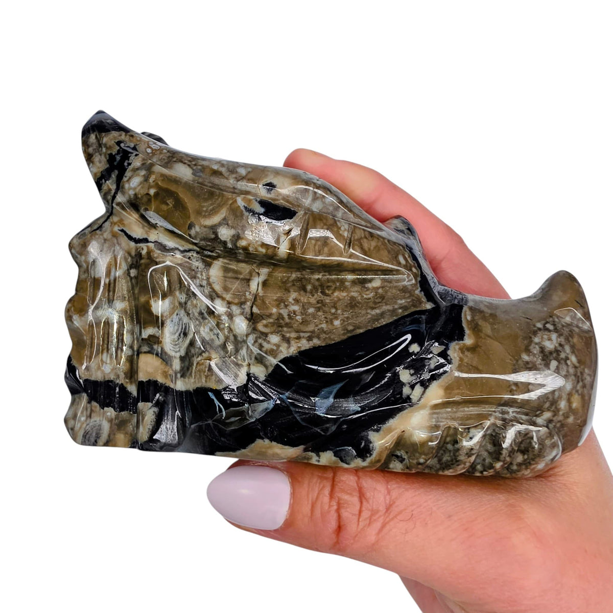 Volcano Agate Dragon