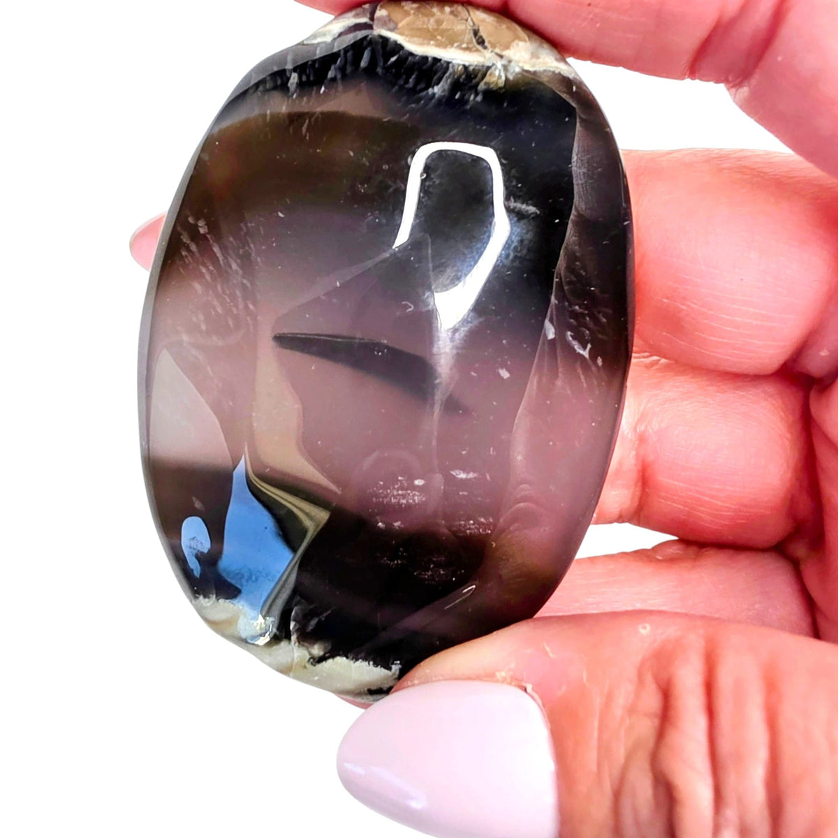 Volcano Agate Palm Stone