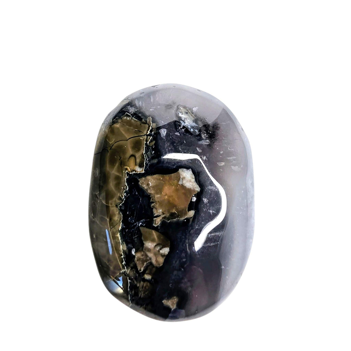 Volcano Agate Palm Stone