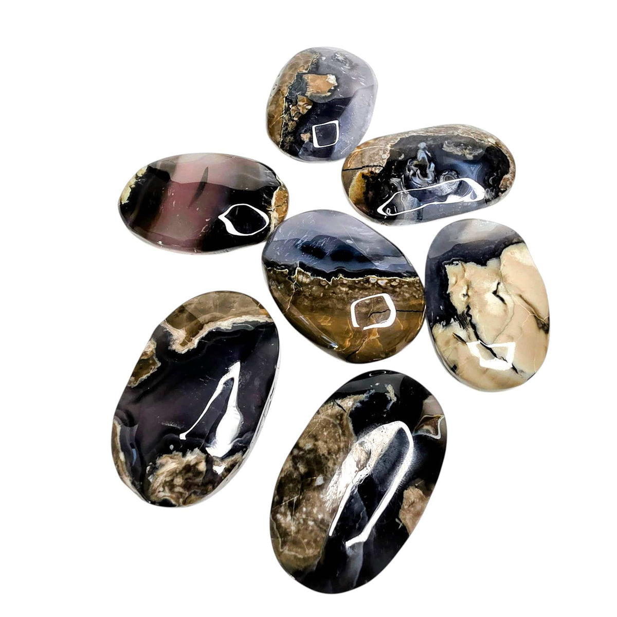 Volcano Agate Palm Stone