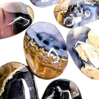 Volcano Agate Palm Stone