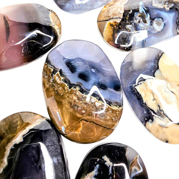 Volcano Agate Palm Stone