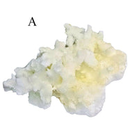 White Aragonite Specimen