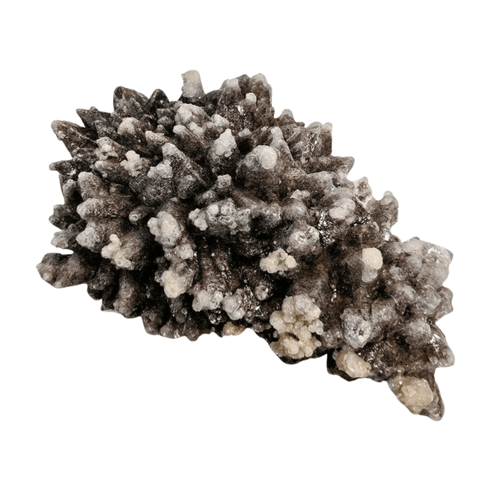 Wolftooth Chocolate Calcite Specimen