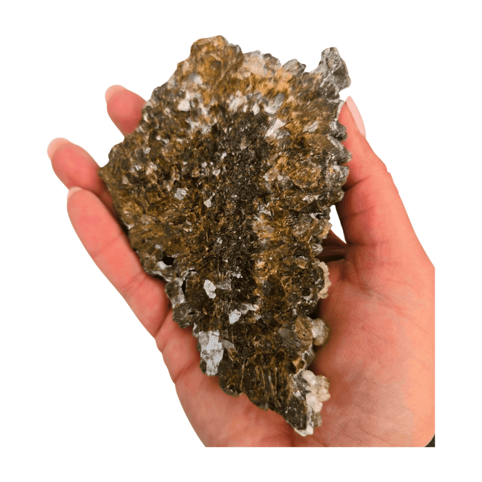 Wolftooth Chocolate Calcite Specimen