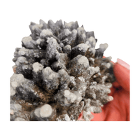 Wolftooth Chocolate Calcite Specimen