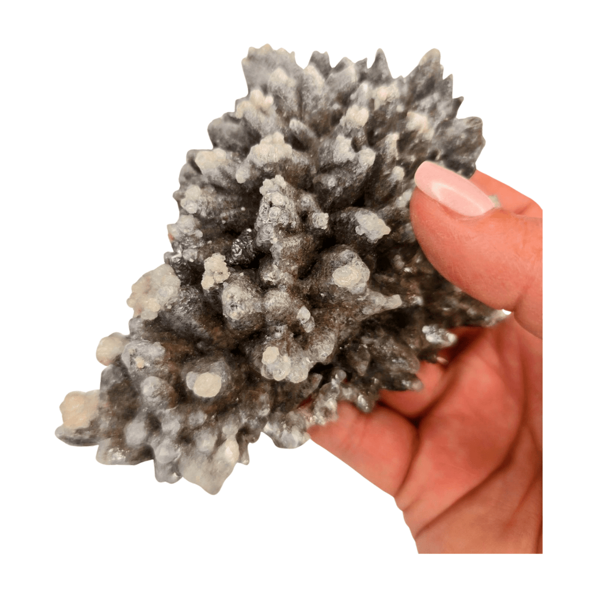 Wolftooth Chocolate Calcite Specimen