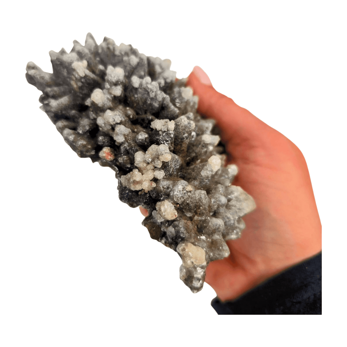 Wolftooth Chocolate Calcite Specimen