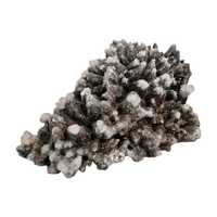 Wolftooth Chocolate Calcite Specimen