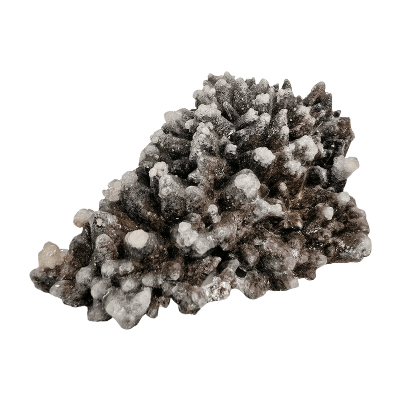 Wolftooth Chocolate Calcite Specimen