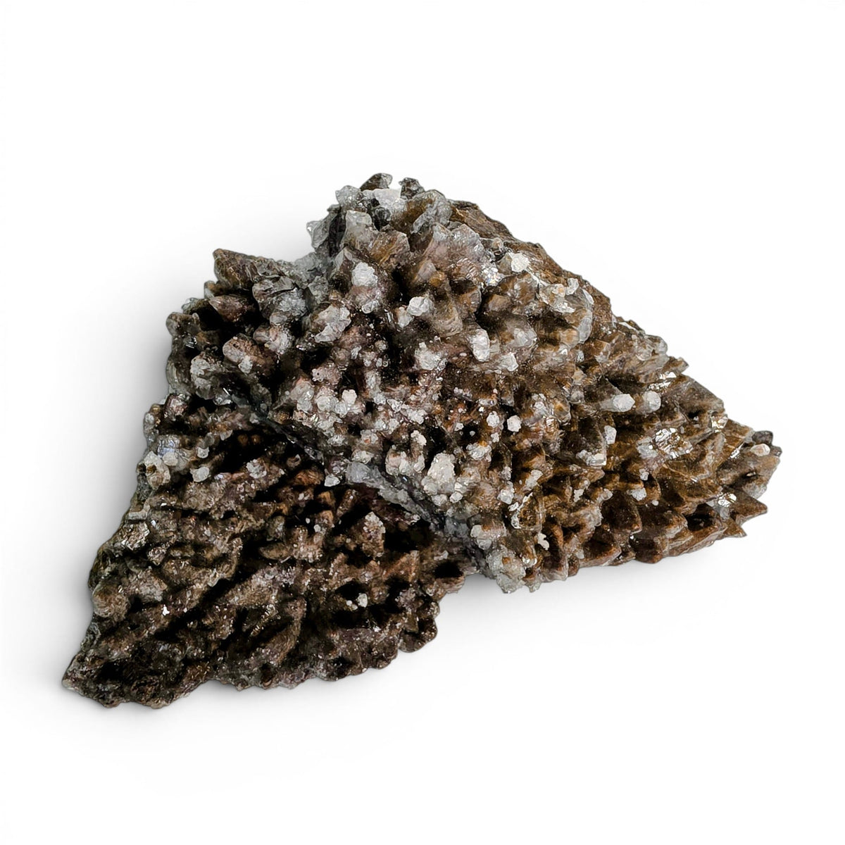 Wolftooth Chocolate Calcite Specimen