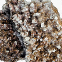 Wolftooth Chocolate Calcite Specimen