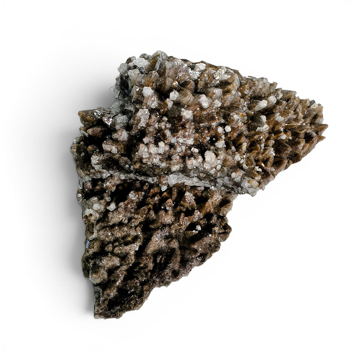 Wolftooth Chocolate Calcite Specimen