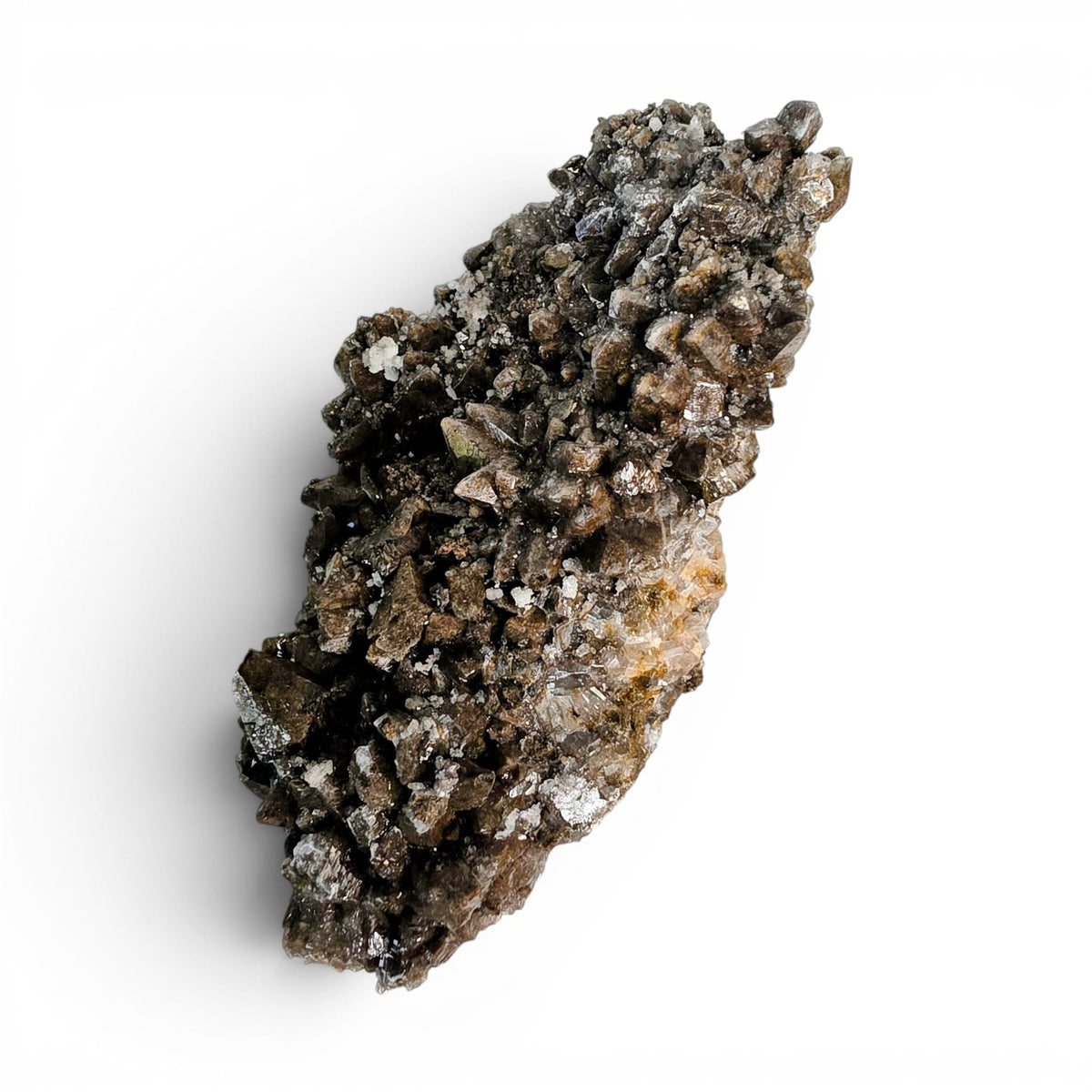 Wolftooth Chocolate Calcite Specimen