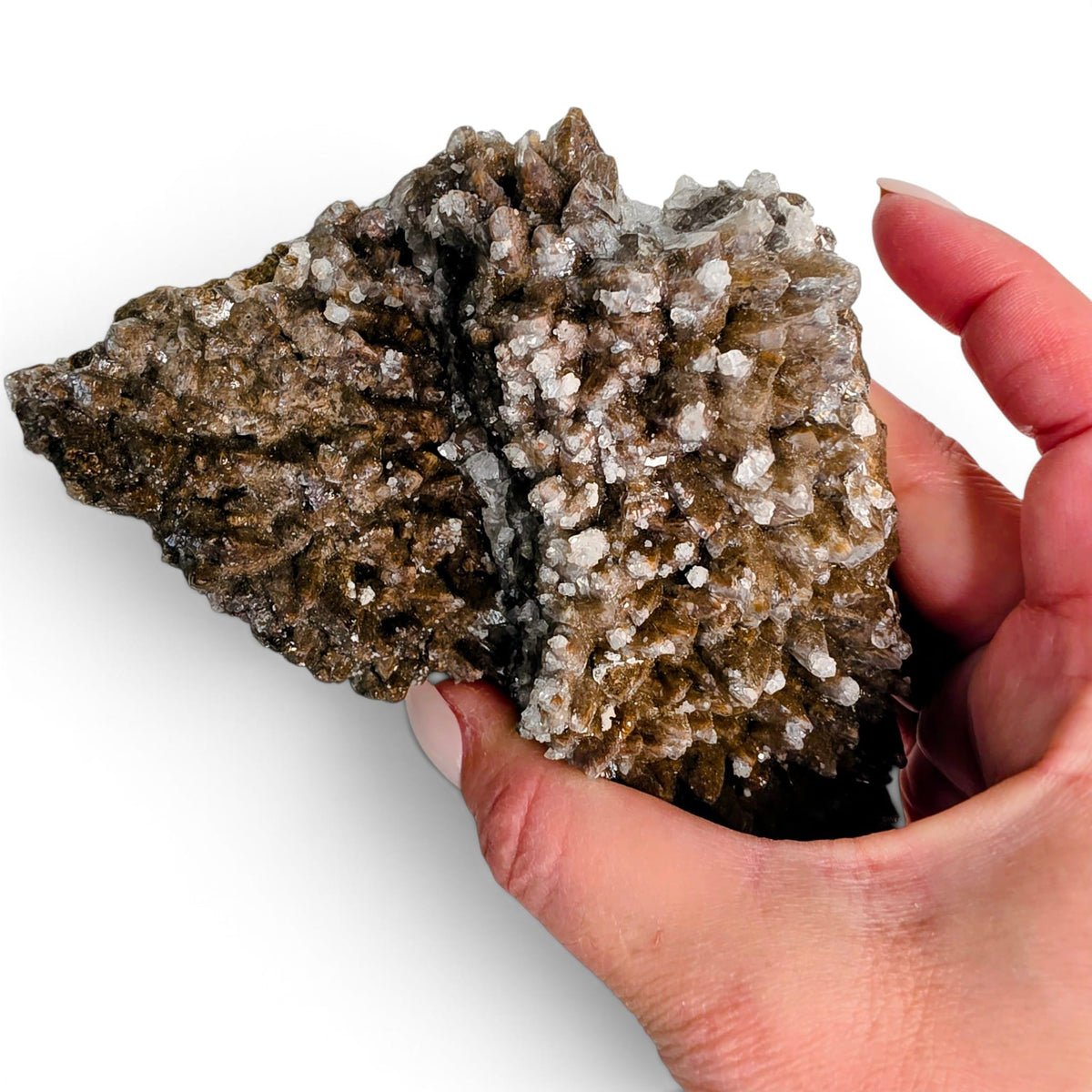 Wolftooth Chocolate Calcite Specimen