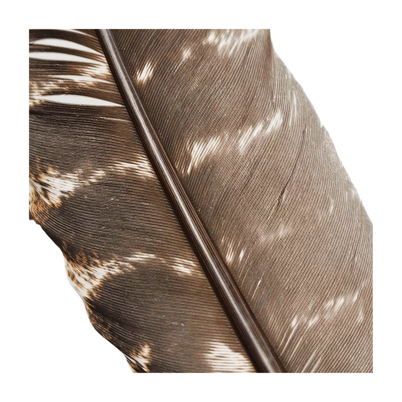 Turkey Feather (Hand Wrapped) - For Incense