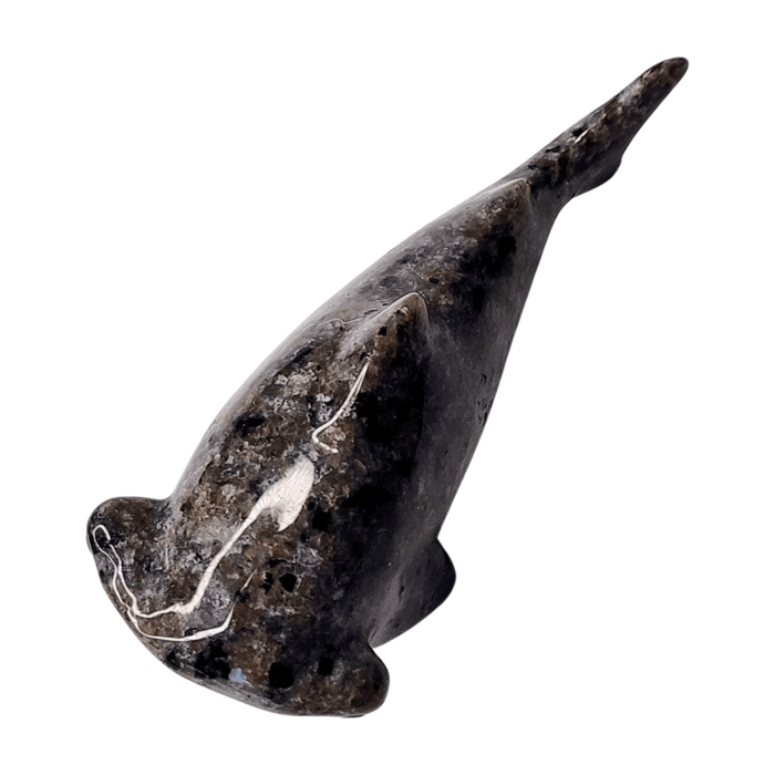 Yooperlite Shark