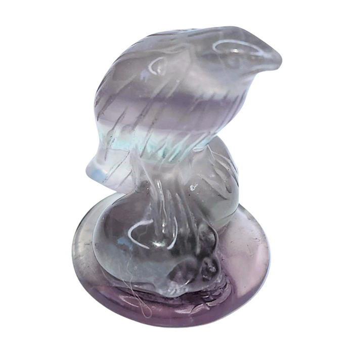 Yttrium Fluorite Raven with Skulls