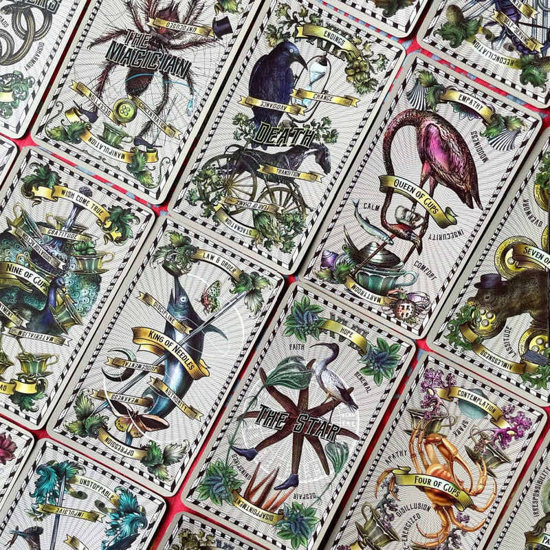 5 Cent Tarot